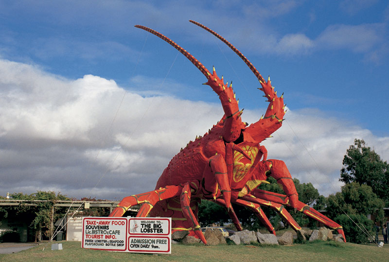 Big Lobster Australia